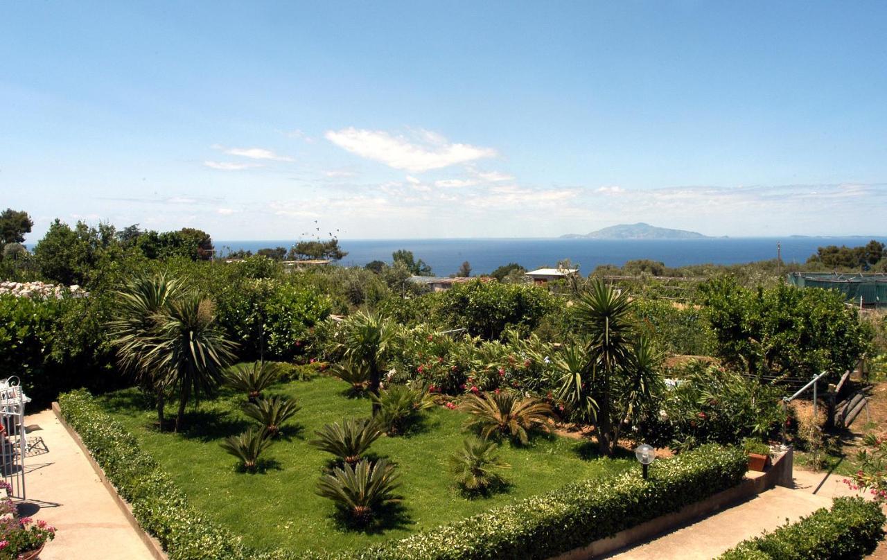Villa Damecuta B&B Anacapri  Bagian luar foto