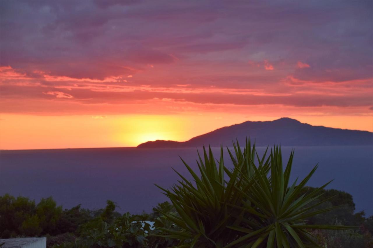 Villa Damecuta B&B Anacapri  Bagian luar foto