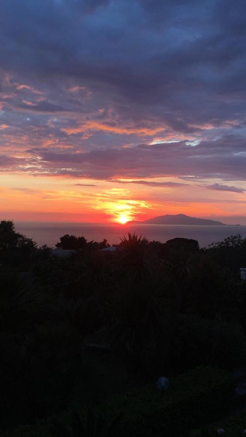 Villa Damecuta B&B Anacapri  Bagian luar foto