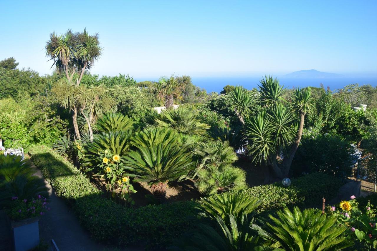 Villa Damecuta B&B Anacapri  Bagian luar foto