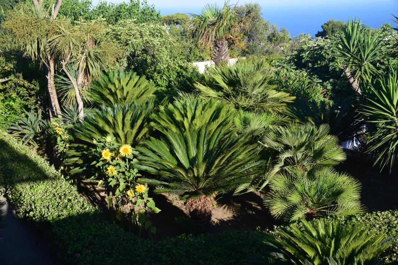 Villa Damecuta B&B Anacapri  Bagian luar foto