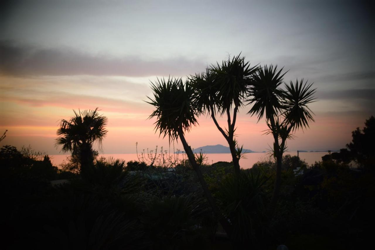 Villa Damecuta B&B Anacapri  Bagian luar foto