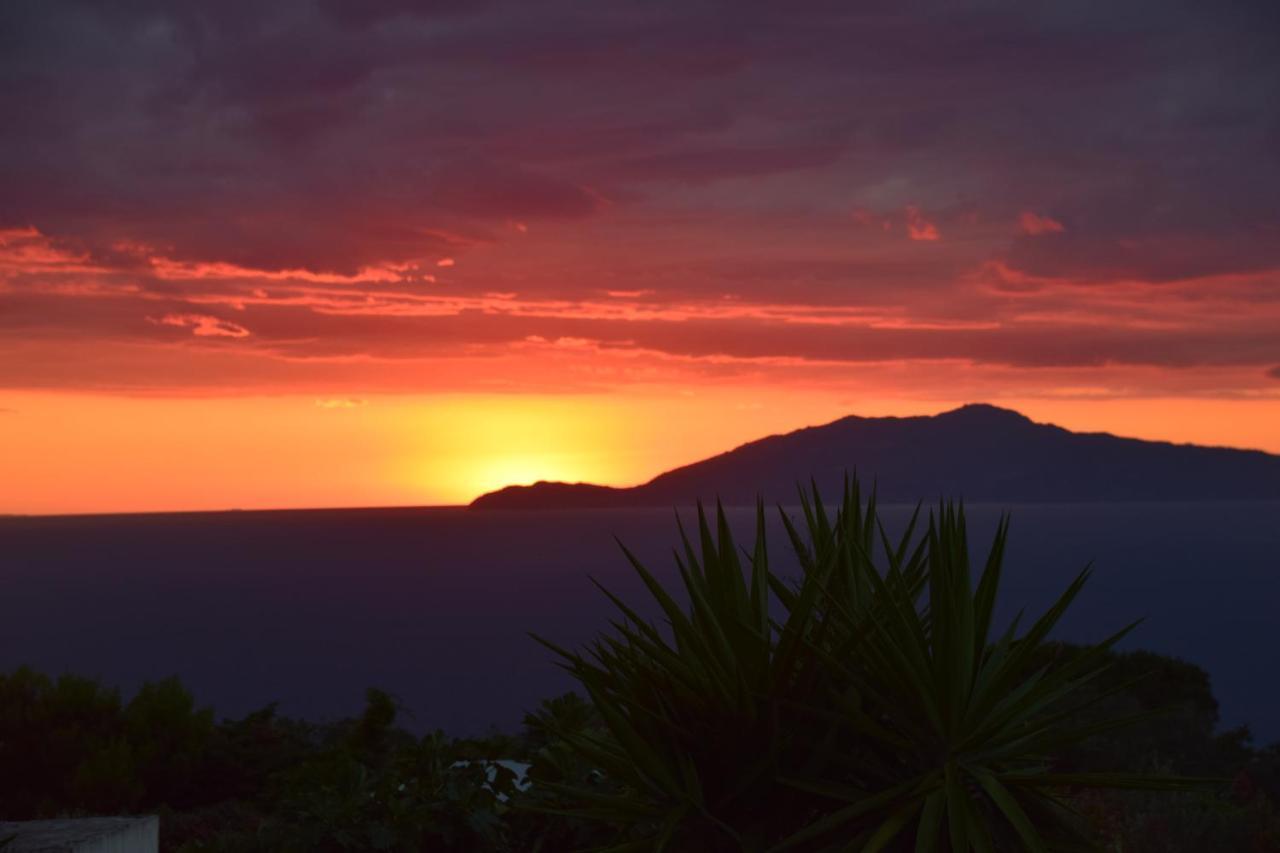 Villa Damecuta B&B Anacapri  Bagian luar foto