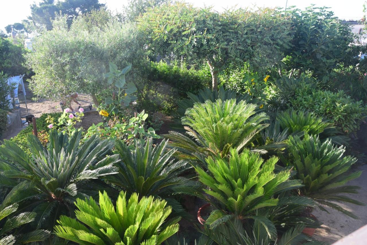 Villa Damecuta B&B Anacapri  Bagian luar foto